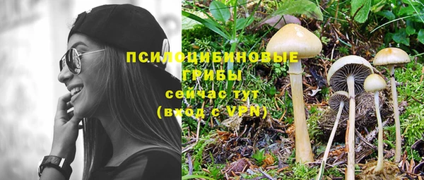 герыч Новозыбков
