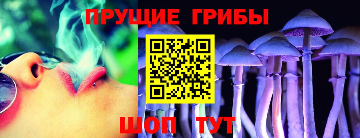 Псилоцибиновые грибы мицелий  Вход с VPN  Псилоцибиновые грибы Cubensis  Аша 
