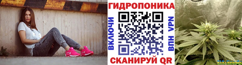 где продают   Аша  Конопля THC 21% 