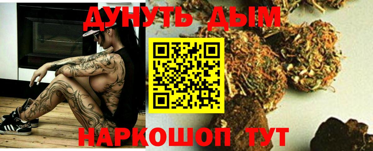 МАРИХУАНА сатива Аша